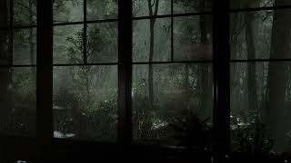 Relaxing Rain Sounds and Thunder Sounds - Rain on Window & Rain in Forest at Night - 8 Hours