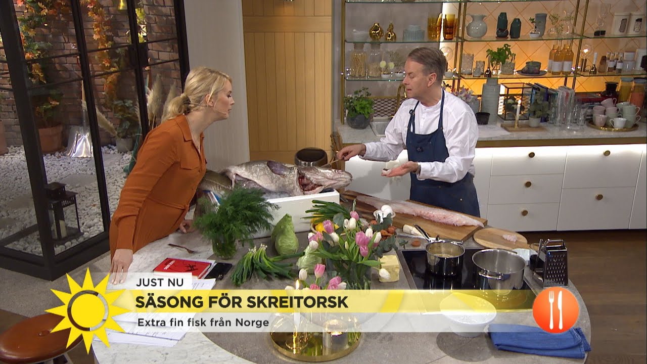 Säsong för torsk – Så tillagar du fisk på bästa sätt - Nyhetsmorgon (TV4)