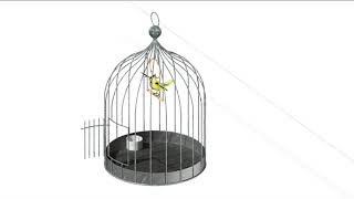 How To AutoCAD 3D Modeling, Bird Cage 3D Model - QasimCAD