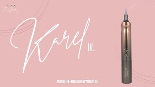 Karel Iv První Dojmy Z Egypta