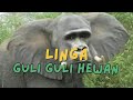 Youtube Thumbnail title