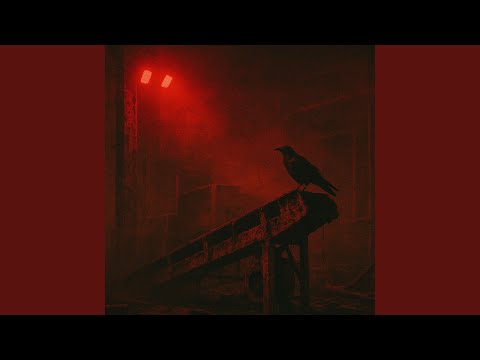 John wick whatsapp status /fighting sence HD/such a whore #shorts #Johnwick