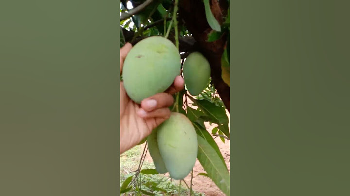 #tree#nature#trending #hindisong #ytshorts #viral