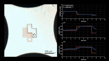 Position and orientation control at micro and meso scales using dielectrophoresis