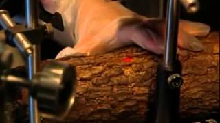 Full Forensic Files 10x42 Wood Be Killer Update