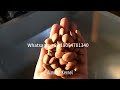 500kg/h almond hazelnut peeling production line