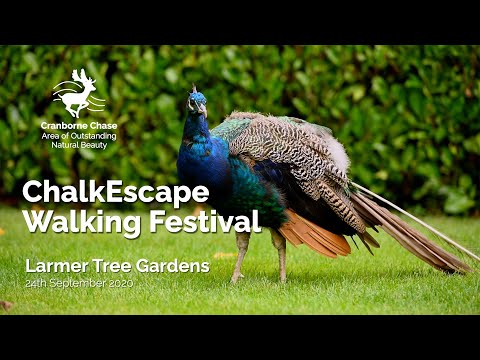 Chalk Escape Walking Festival at Larmer Tree Gardens - Cranborne Chase AONB