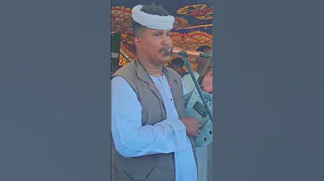جديد الفنان ابو القاسم ود دوبا الريله اسوي شنو 2025 