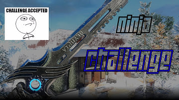 NINJA CHALLENGE BO3