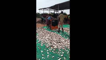 Cassava Slicer/Cassava Chipper/Cassava Cutting Machine