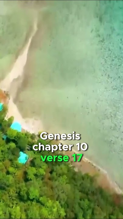 Genesis Chapter 10 Verse 17 The King James Version KJV shorts bible genesis-chapter-10-verse-17-the-king-james-version-kjv-shorts-bible