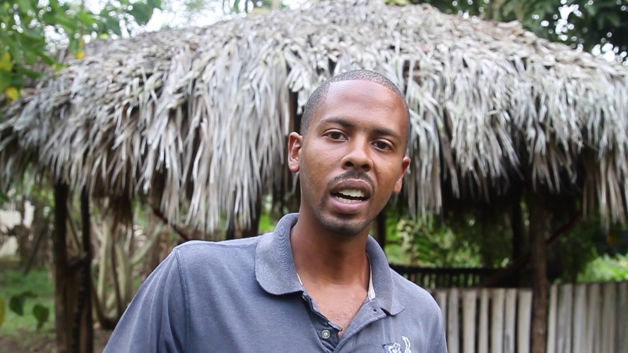 An "Ital Standard" for Ganja