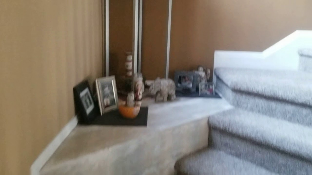 House Dragonwolf PNW to the Master