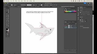 Anchor Point Task Video
