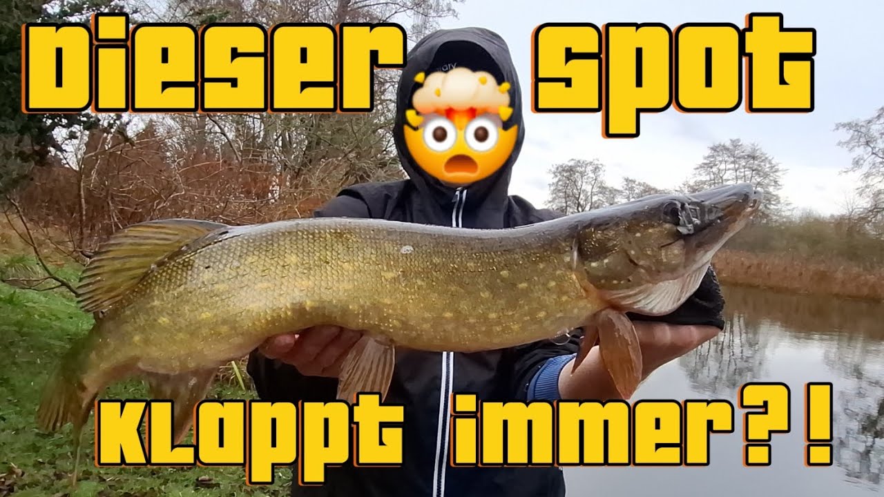 Dieser Spot klappt immer?!🤯🔥 - YouTube Dieser Spot klappt immer?!🤯🔥 - YouTube