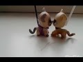 Littlest Pet Shop(LPS):"Любовь пацанки"2 сезон 13 серия"Вики+Роуз=враги"