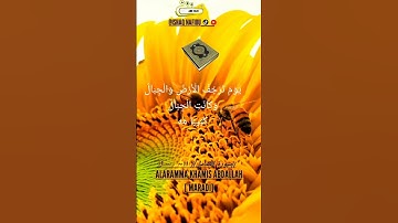سورة المزمل