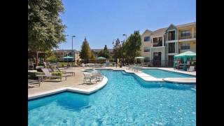 Campus Crossings on Brightside | Apartments For Rent