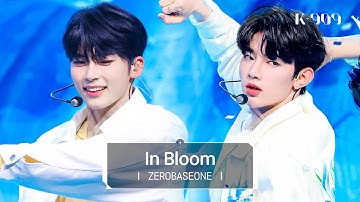[4K] 제로베이스원 (ZEROBASEONE) - In Bloom l @JTBC K-909 230715 방송