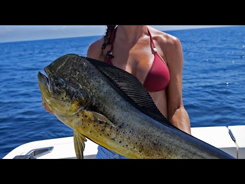 MAHI Madness | Livin the Dream @FishingwithLuiza