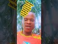 le légende GØGØstyle PUBLIE une chanson demain à 5hoo sur la chaîne YouTube titre hommage NGAlula