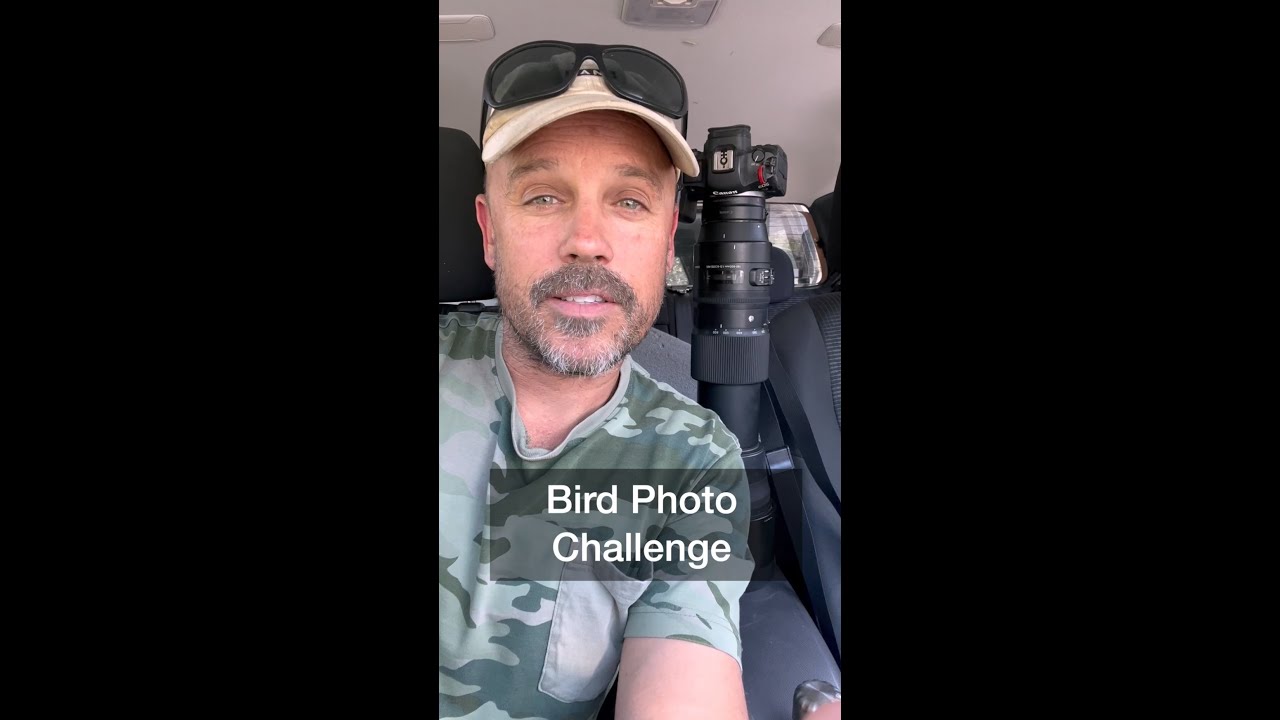 Bird Photo Challenge: Rainbow Lorikeet in flight😮 Not an easy task, can I do it?