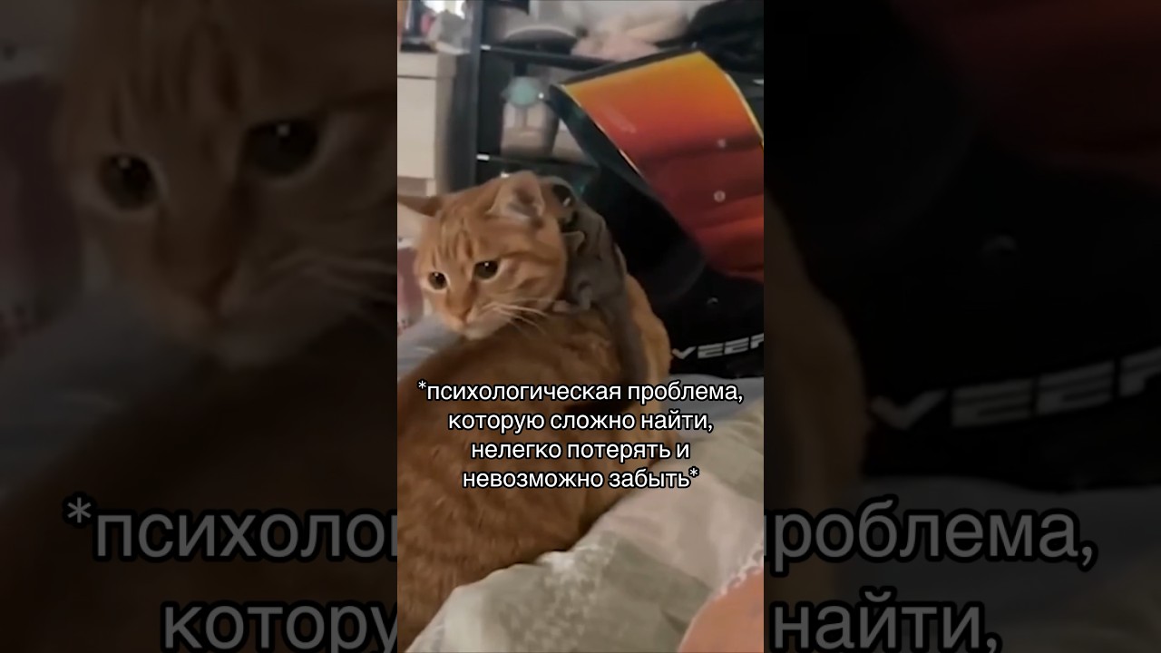 ПСИХОЛОГИЧЕСКИЙ МЕМ Vol.25: есть проблемка 😅