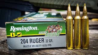 .204 Ruger - 32gr Remington Premier Accutip-V .204 Ruger