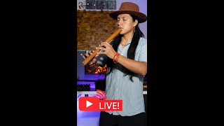 Live Flute Andean Music From Studio