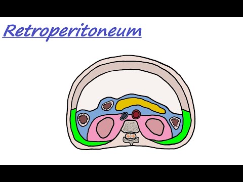 Retroperitoneum - Lumbar Region