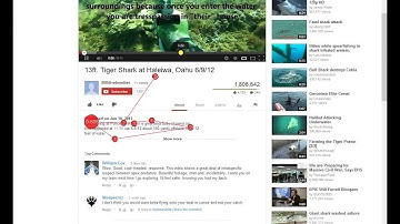 Google & Web Interaction Eye Tracking Demo - Fixation Map