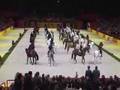 Les 4 Ecoles d'Art Equestre - Classical Riding - Dressage horse