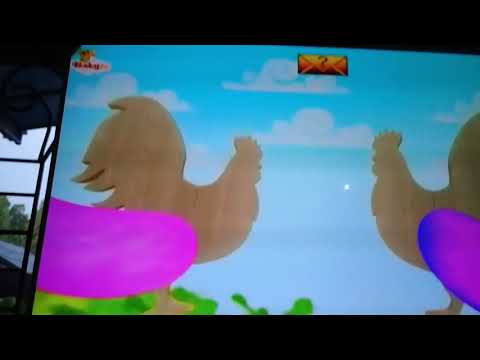 Bim & bam and the rooster