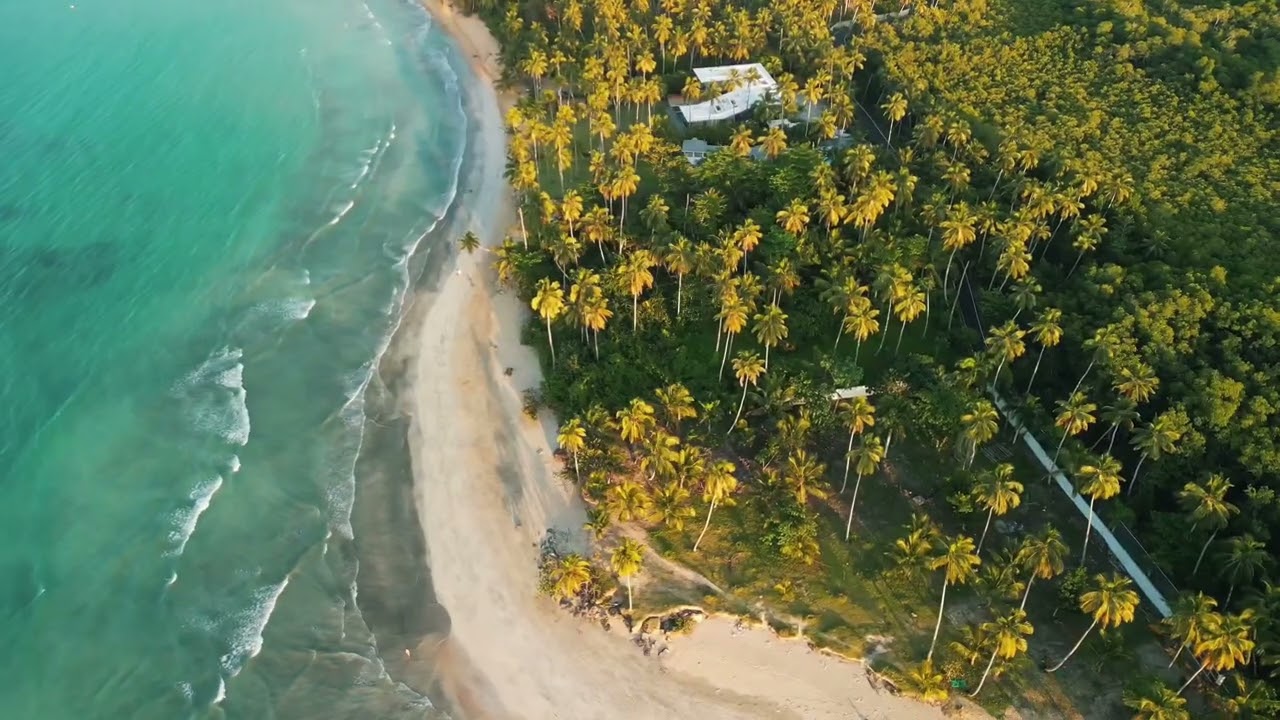 BeachFront Sublime Land For Sale In Samana Las Terrenas Dominican Republic