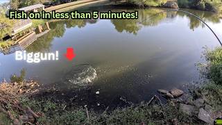 This place has SO MUCH potential! Fish on in 5 minutes! Pond hopping in 100 Degree TEXAS HEAT!