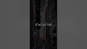 اواخر سورة الاحقاف الشيخ ياسر الدوسري عام ١٤٢٥