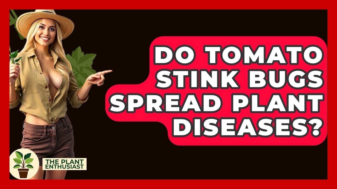 Do Tomato Stink Bugs Spread Plant Diseases? - The Plant Enthusiast