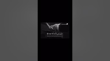 تلاوة خاشعة الشيخ خالد الجليل { وَيَوْمَ يَعَضُّ الظَّالِمُ عَلَىٰ يَدَيْهِ }