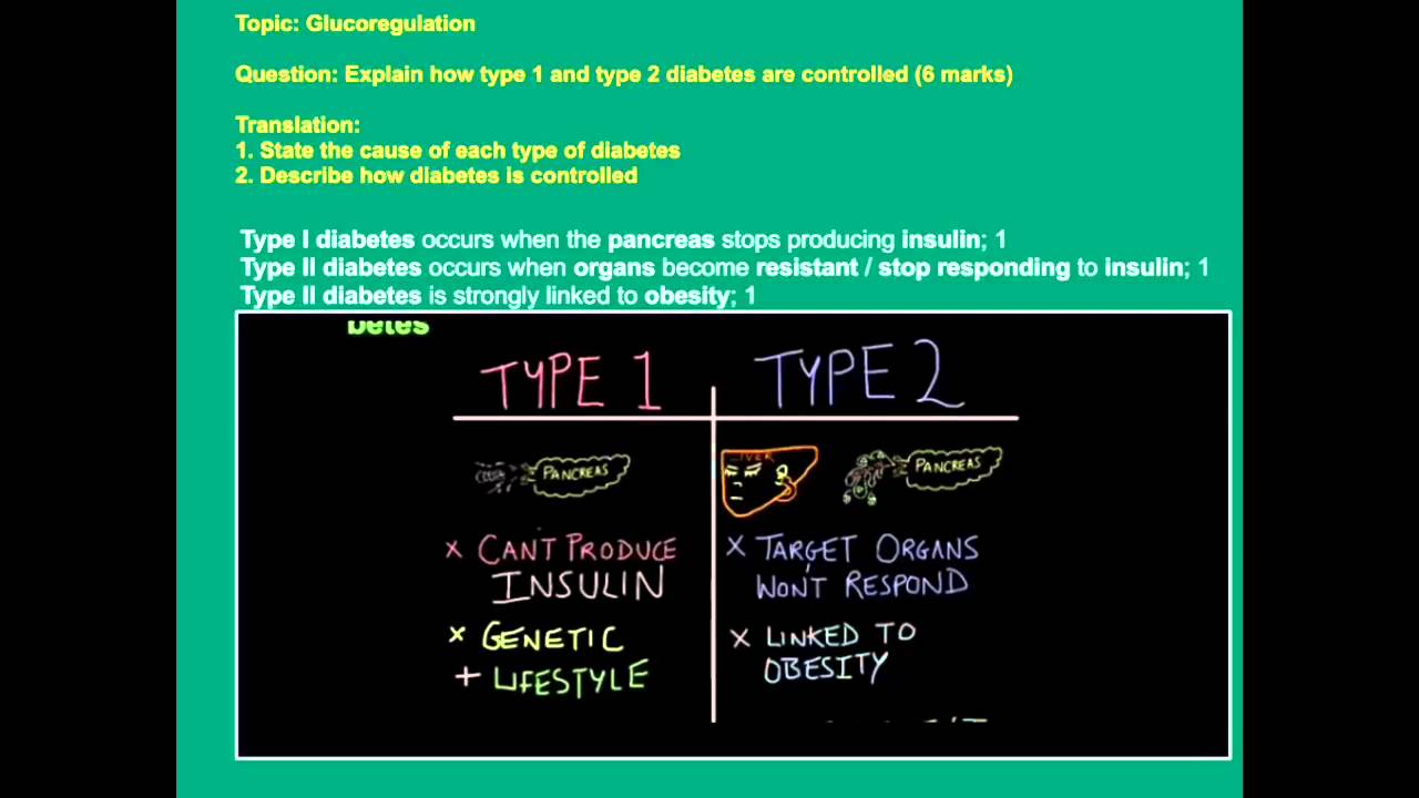 Exam Application Tutorial for B1 Glucoregulation: Diabetes