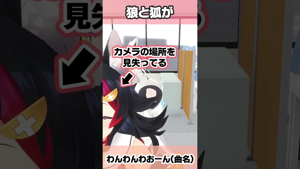 🐺狼と狐のわんわんわおーん🦊 #大神ミオ #白上フブキ #ホロライブ #フブミオ