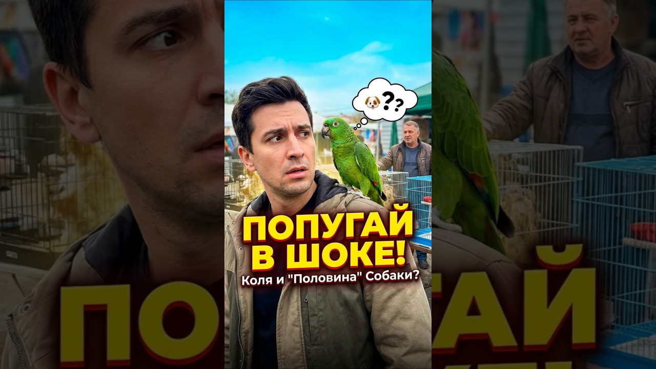 Пол собаки нам не надо! 😅 