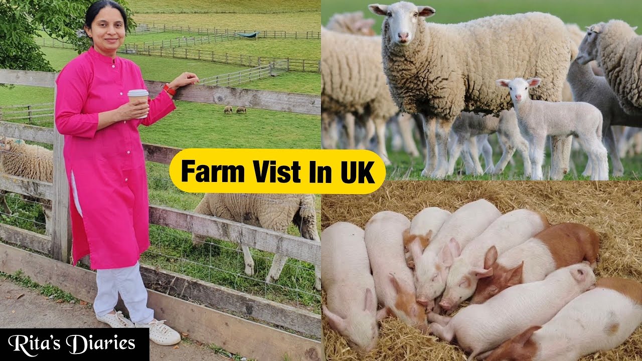 farm tour uk