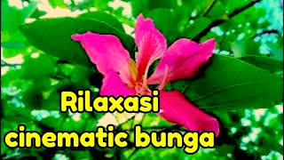rilaxasi cinematic bunga