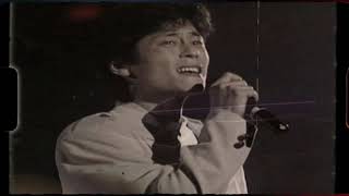 幾分傷心幾分痴(現場混剪版)-王傑(HQ)