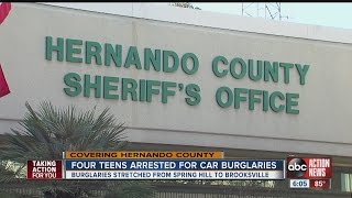 Teens arrested in string of burglaries