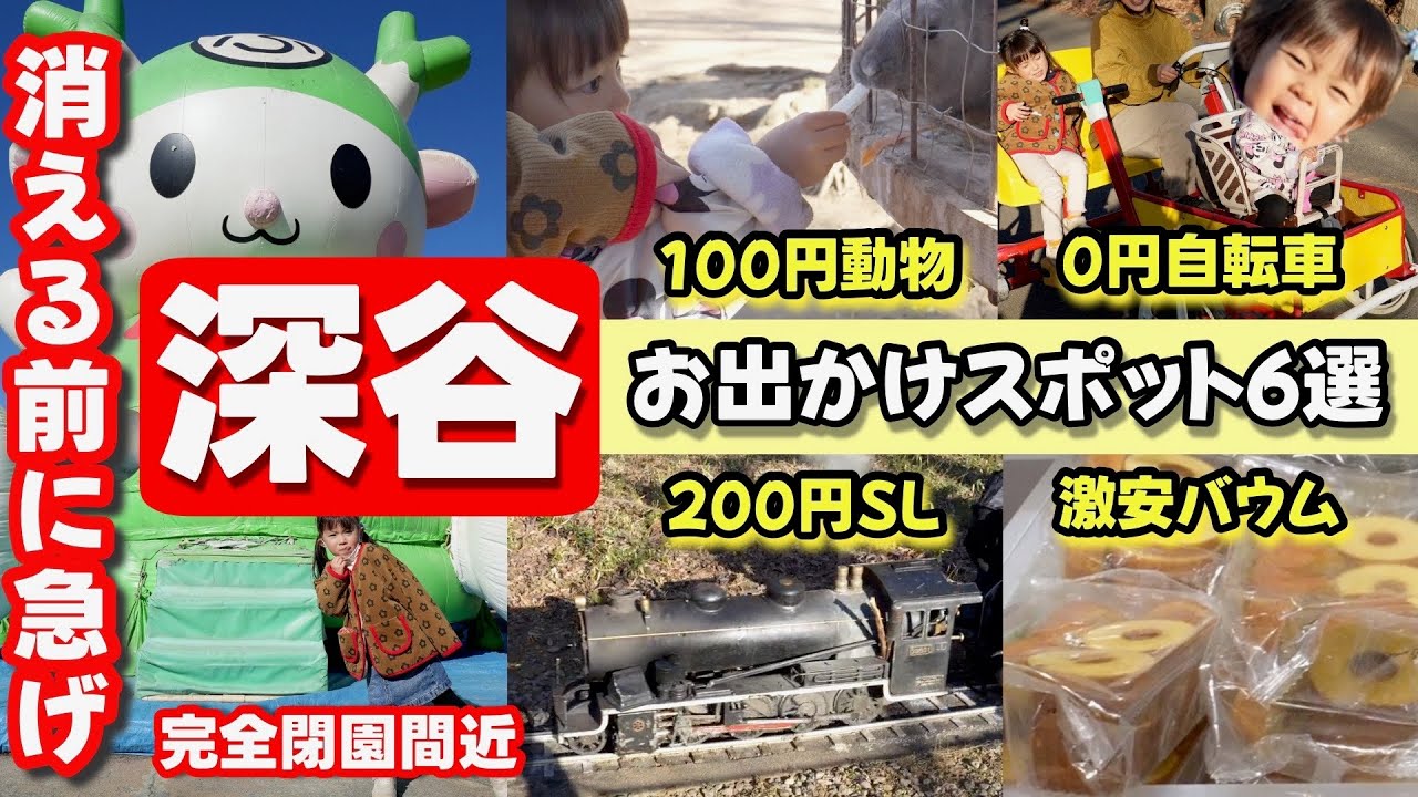 埼玉 子供 遊び場｜深谷の子連れお出かけスポット【関東】深谷アウトレット近隣の農林公園がコスパ凄すぎた