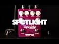 Wampler Faux Tape Echo Delay Pedal | Everything You Need To Know