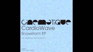 CardioWave - Snowstorm