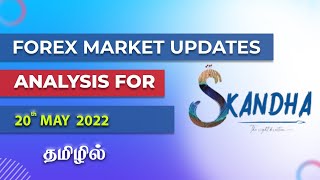 Forex Analysis | Today Updates (20 - 05 - 2022) | Tamil