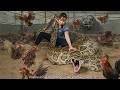 72 HOURS trapped with a GIANT PYTHON –A Komodo Dragons creeps up on the FARM